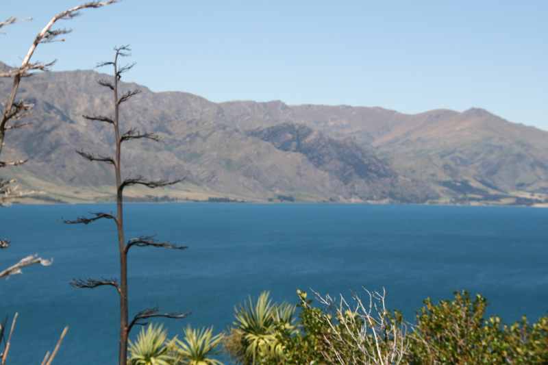 Nieuw-Zeeland 2011 - 1603